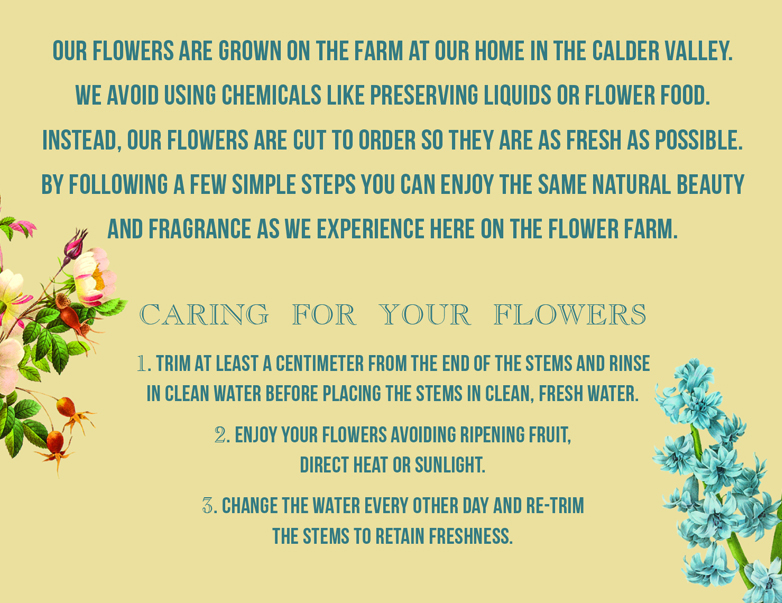 The Yorkshire Flower Patch